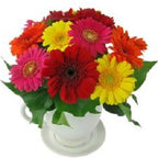 Lil Lively - FWR - Arabian Petals (2096531931194)