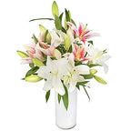Lush Lillies - FWR - Arabian Petals (2108976889914)
