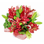 Making Xmas Magic Red & White (5919415009444)