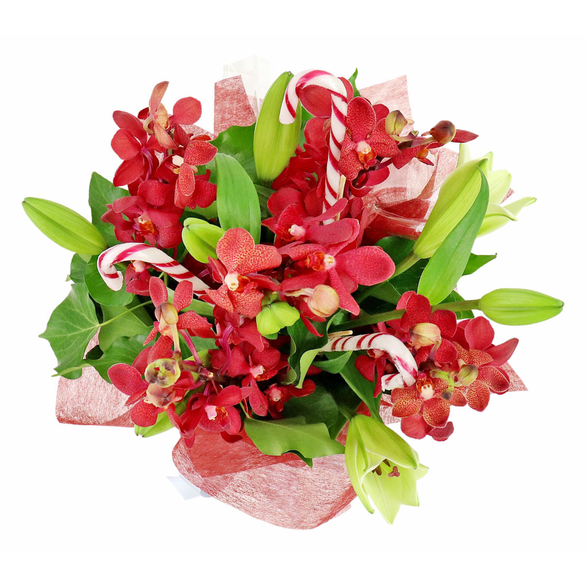 Making Xmas Magic Red & White (5919415009444)