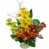 Mixed Orchid Vase - FWR - Arabian Petals (2093554204730)