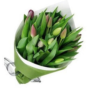 Mixed Pastel Tulip Bunch - FWR - Arabian Petals (2089157197882)