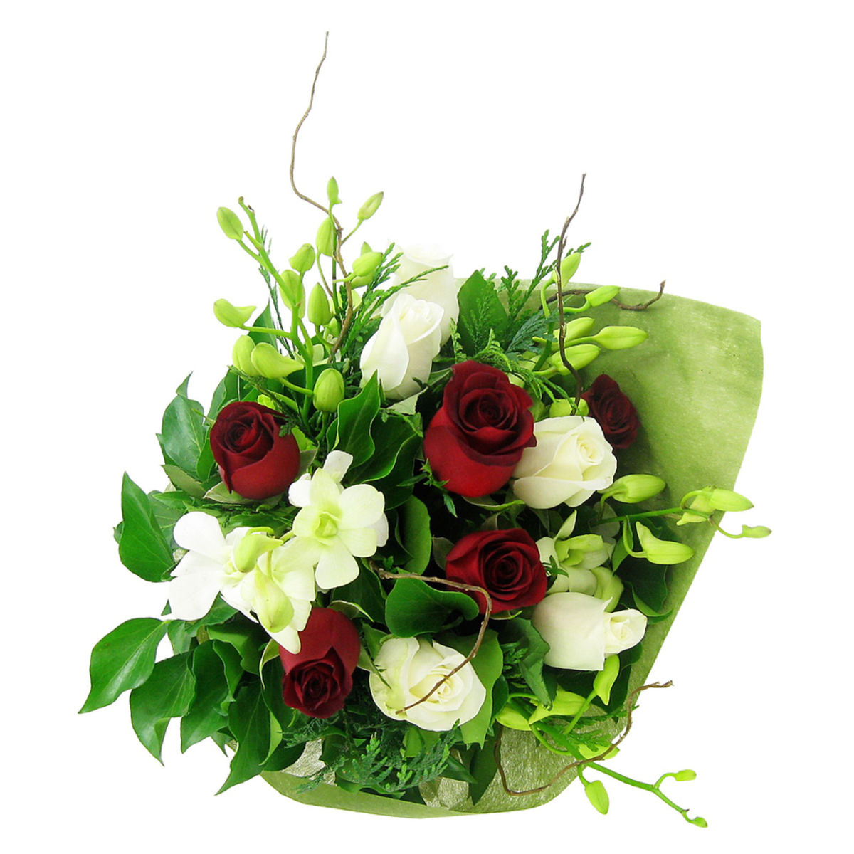 Noel (5919477334180)