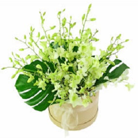 Orchid Allure - FWR - Arabian Petals (2093505577018)