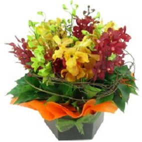 Orchid Garden - FWR - Arabian Petals (2092939673658)