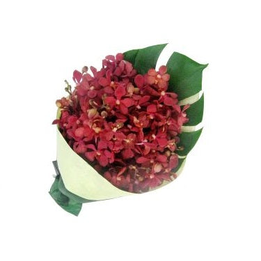Orchids - FWR - Arabian Petals (2090980048954)