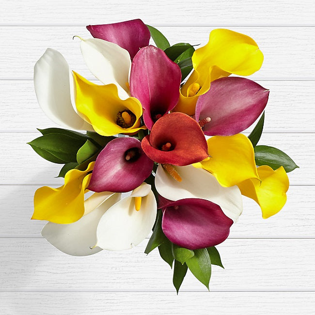Mini Calla Assorted Mini Calla Lilies