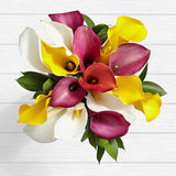 Assorted Mini Calla Lilies - Arabian Petals (2109038788666)