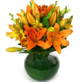 Paradise - FWR - Arabian Petals (2093497385018)