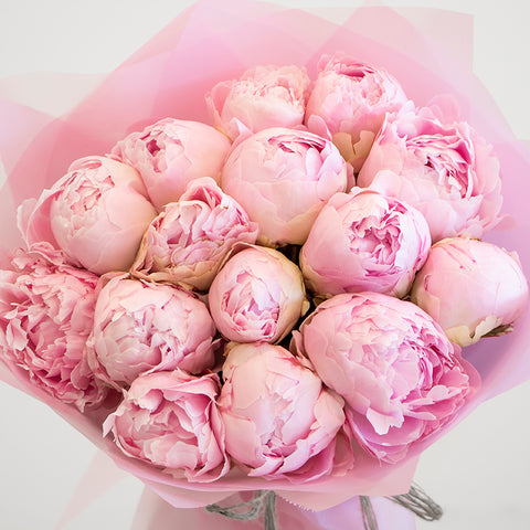 Blush Pink Peony Bouquet