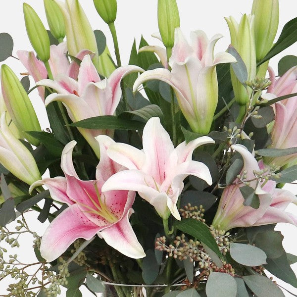 Pink Lilies