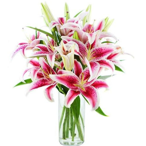 Pink lily flowers in vase - Arabian Petals (5241406685348)