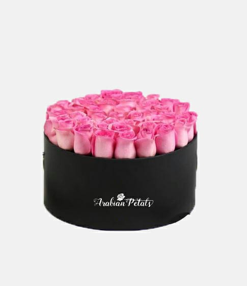 Pink Roses - Round Box - Arabian Petals (4570085654573)