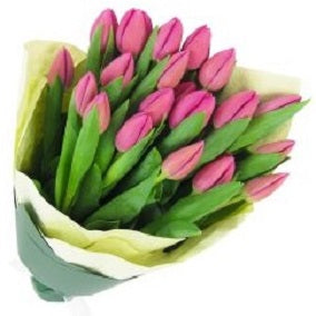 Pink Tulip Bunch - FWR - Arabian Petals (2089162276922)
