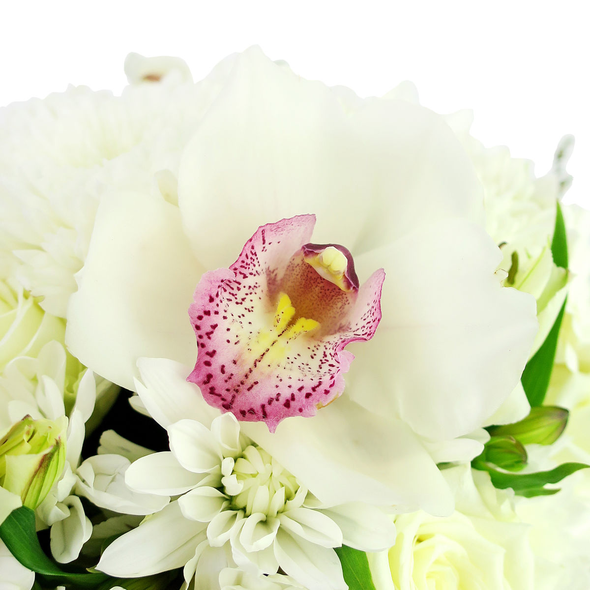 Purity Box - Arabian Petals (5367029858468)