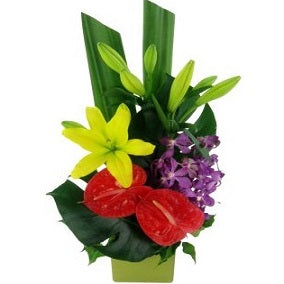 Resplendent Rainforest - FWR - Arabian Petals (2091676172346)