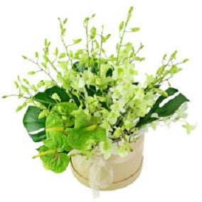 Tropical Breeze - FWR - Arabian Petals (2093518389306)