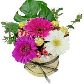 True Delight - FWR - Arabian Petals (2096521183290)