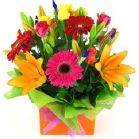 Vivacious - FWR - Arabian Petals (2096548577338)