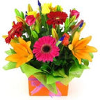 Vivacious - FWR - Arabian Petals (2108389851194)