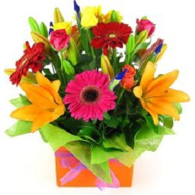 Vivacious - FWR - Arabian Petals (2108389851194)