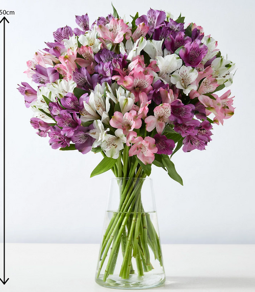 Alstroemeria Abundance Bouquet long stem (5924327391396)