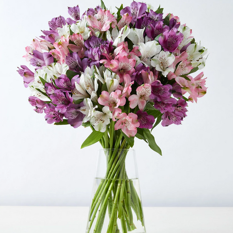 Alstroemeria Abundance Bouquet (5924327391396)