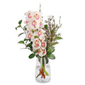 White Cymbidium in Vase