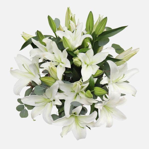 White Lilies