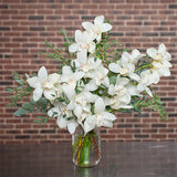 White Orchid Arrangement