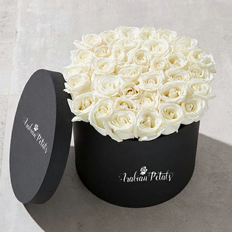 White Roses - Round Box - Arabian Petals (4570101547053)
