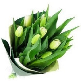 White Tulip bunch - FWR - Arabian Petals (2088671641658)