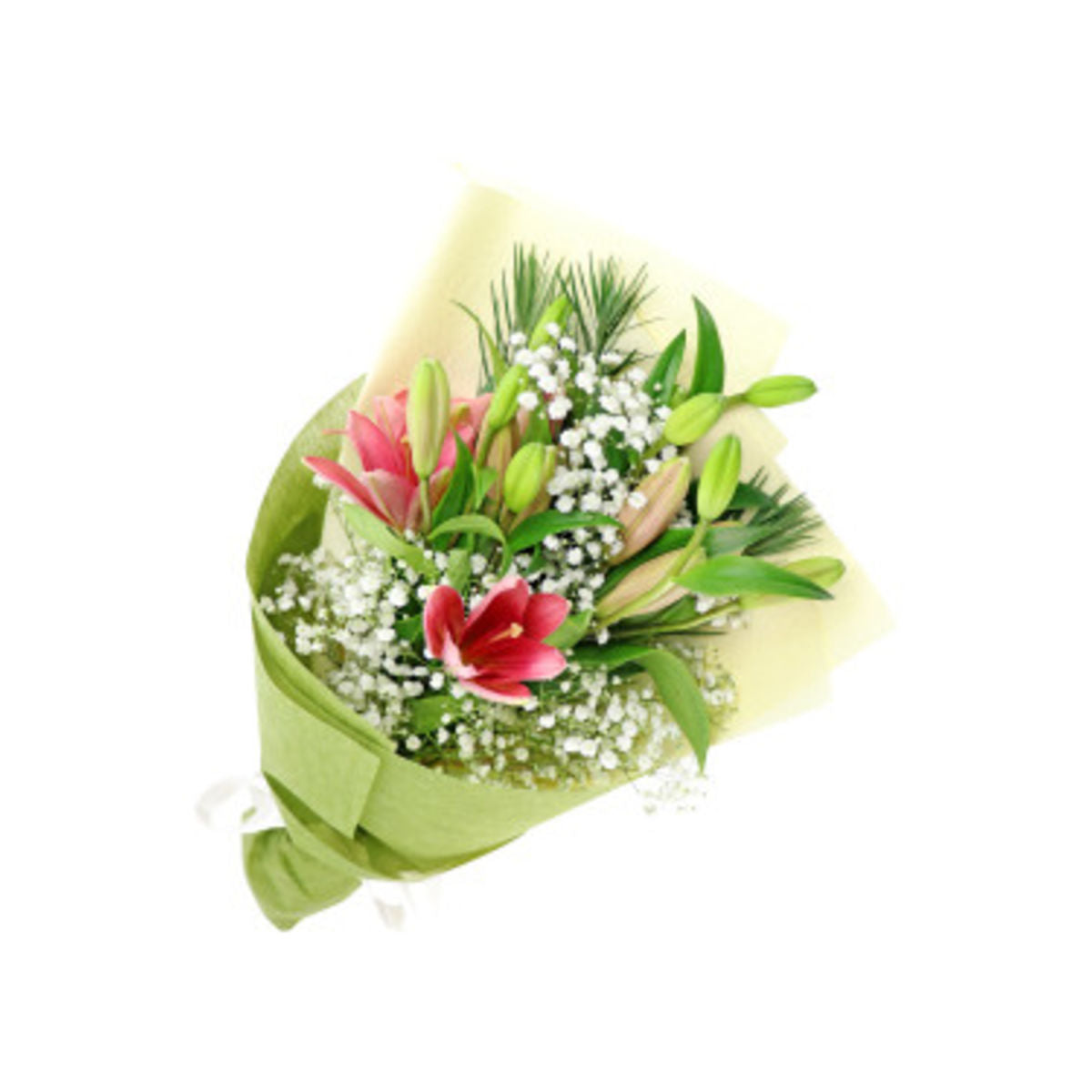 Xmas Lily Lady (5919450366116)