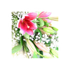 Xmas Lily Lady (5919450366116)