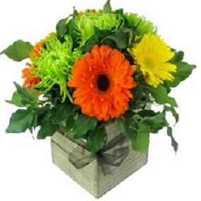 Zesty - FWR - Arabian Petals (2096540418106)