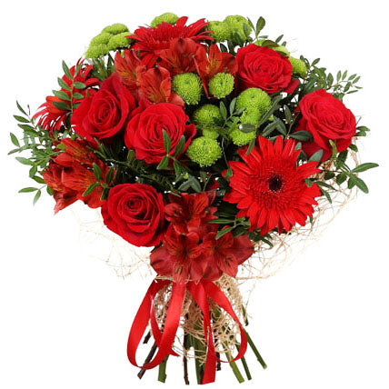 Beautiful Red Roses - VD