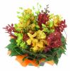 Orchid Garden - FWR - Arabian Petals (2092939673658)