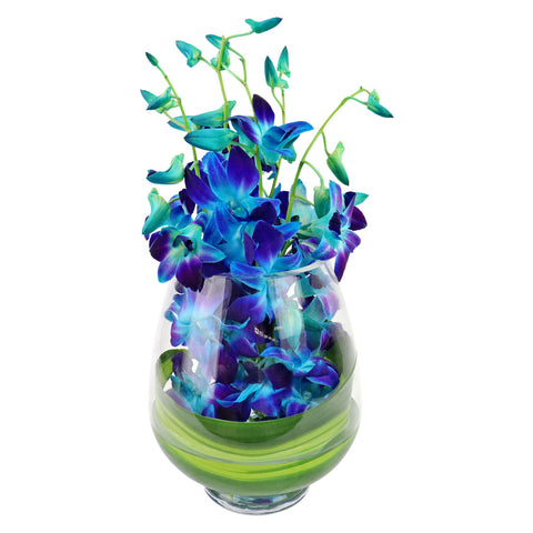 Blue Elegant Orchids with vase (6837688565924)