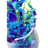 Blue Elegant Orchids (6837688565924)
