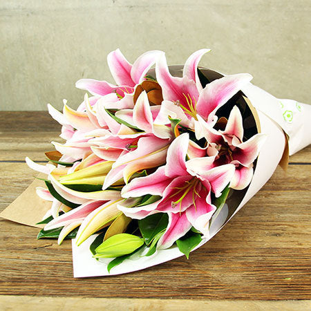 Perfumed Pink Oriental Lilies - Arabian Petals (4743603781677)