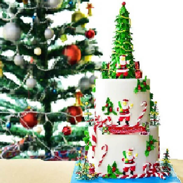 Special Christmas Cake (5940576452772)