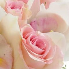 Chanel arrangement - Arabian Petals (5367330865316)