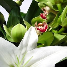 Sublime - FWR - Arabian Petals (2093538246714)