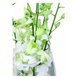 Elegant Orchids - FWR - Arabian Petals (2091087593530)