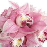 Cymbidium Orchid Vase - FWR - Arabian Petals (2092917653562)