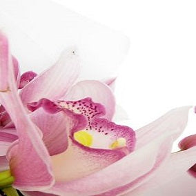 Cymbidium Orchid Bouquet - FWR - Arabian Petals (2093542277178)
