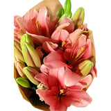 Pink Lily Bunch - Arabian Petals (4898892906541)