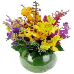 Orchid fishbowl - FWR - Arabian Petals (2092933316666)