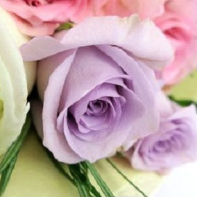 Pastel Roses - Godiva Heart Chocolate Gift Box - Arabian Petals (4535021764653)