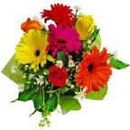 Levity - FWR - Arabian Petals (2096512499770)